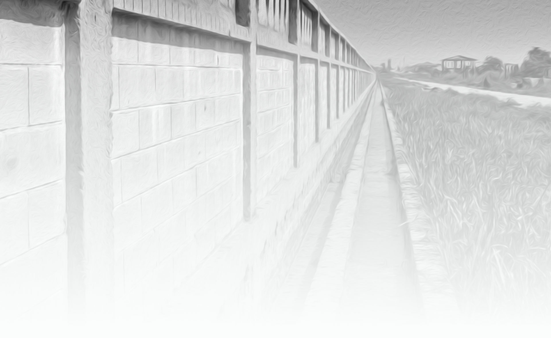 Copy of 2-FondZarni.jpg