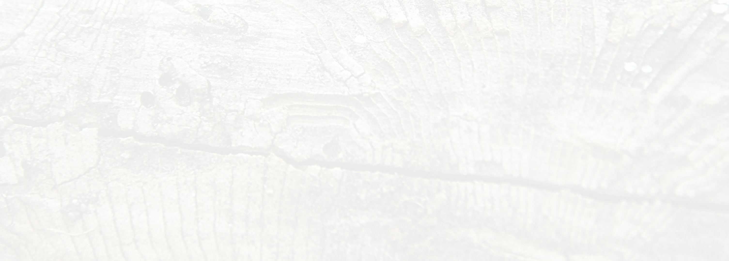 Copy of fond-zarni-art-4.jpg